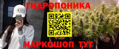 гашик Ирбит