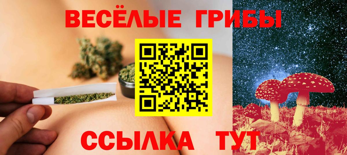 Галлюциногенные грибы Psilocybine cubensis Лесозаводск